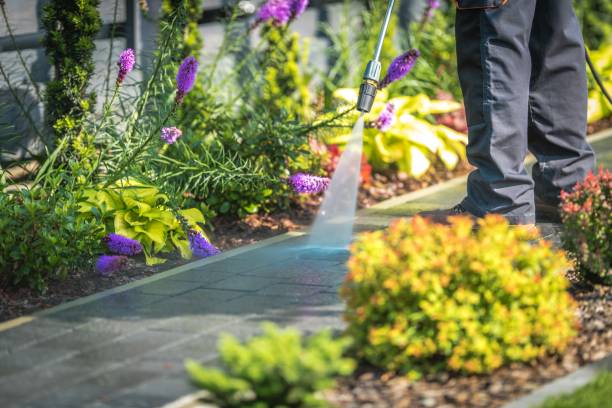 Trusted Brenham, TX Pressure Washing Services Experts